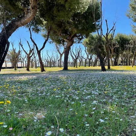 Amazing In With Garden Cupra Marittima